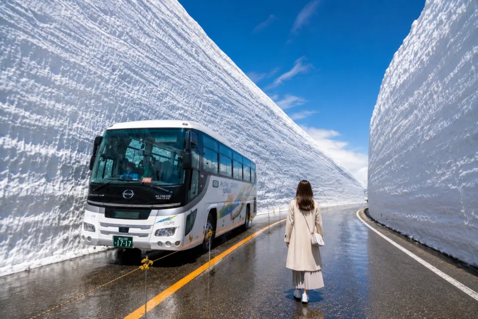 雪の大谷