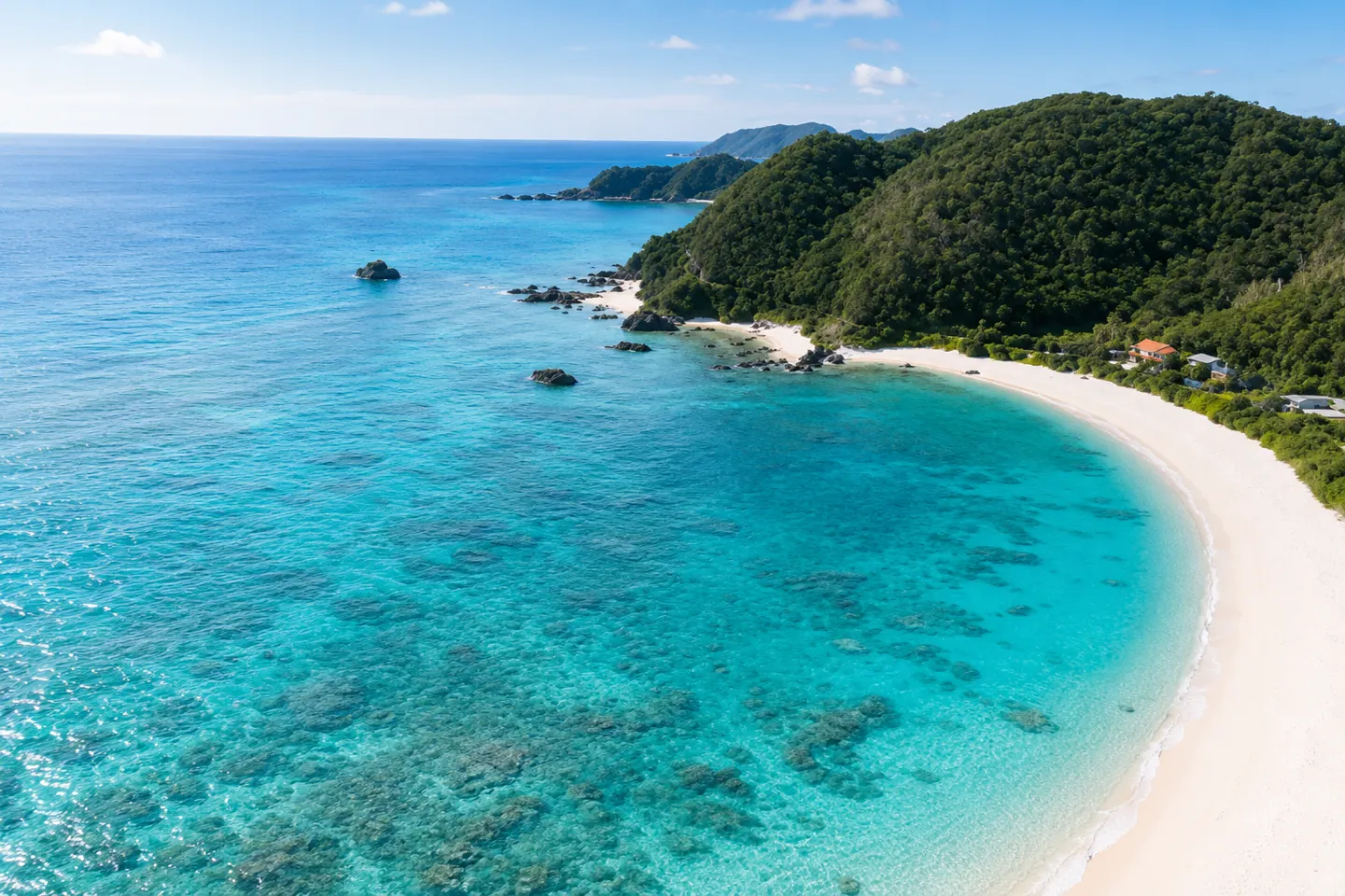 奄美大島