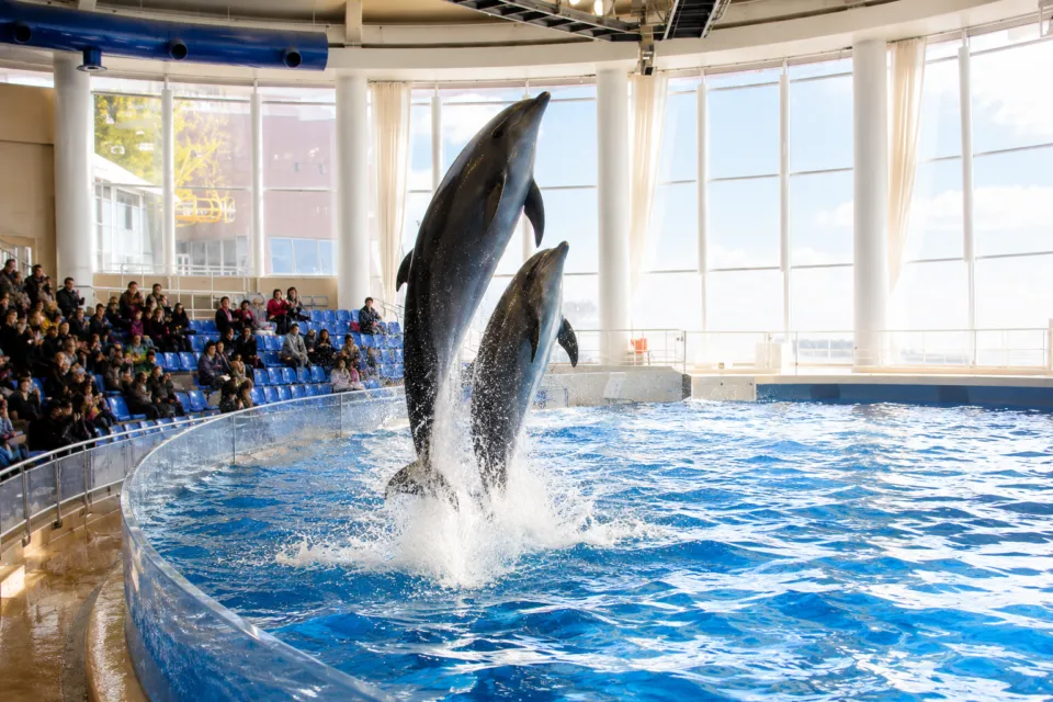アクアワールド茨城県大洗水族館