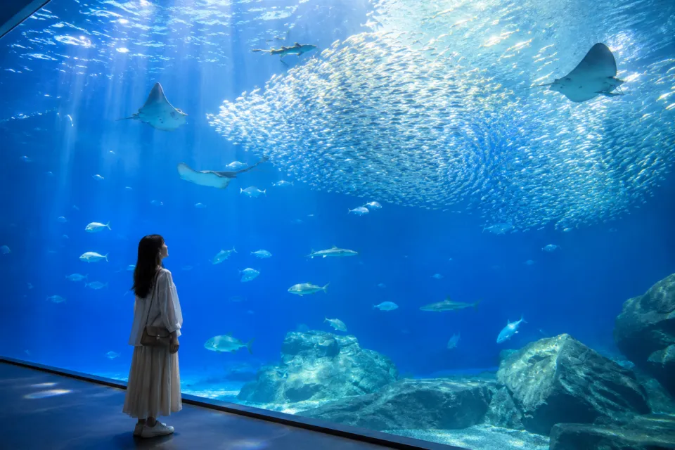アクアワールド茨城県大洗水族館