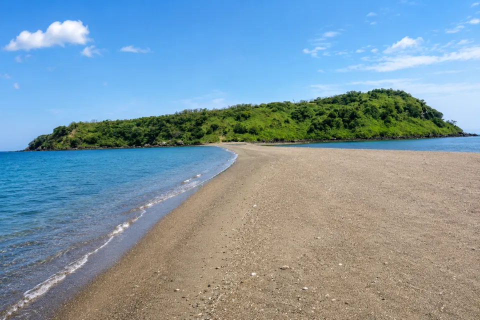 知林ヶ島