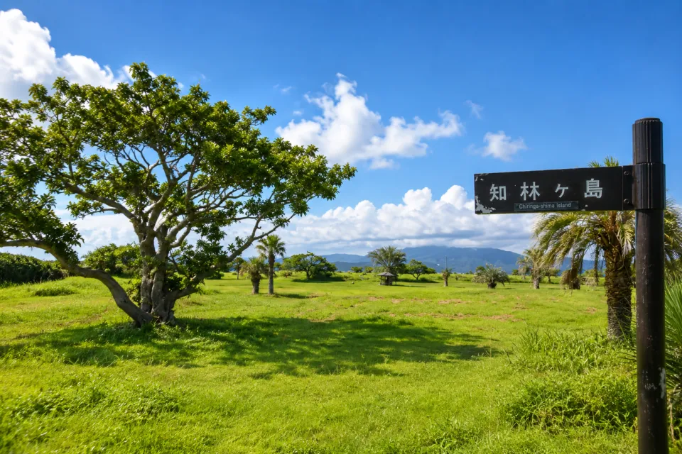 知林ヶ島