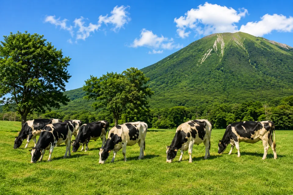 大山まきばみるくの里