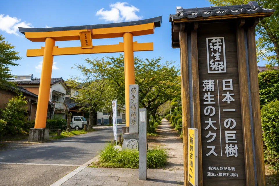 蒲生の大クス
