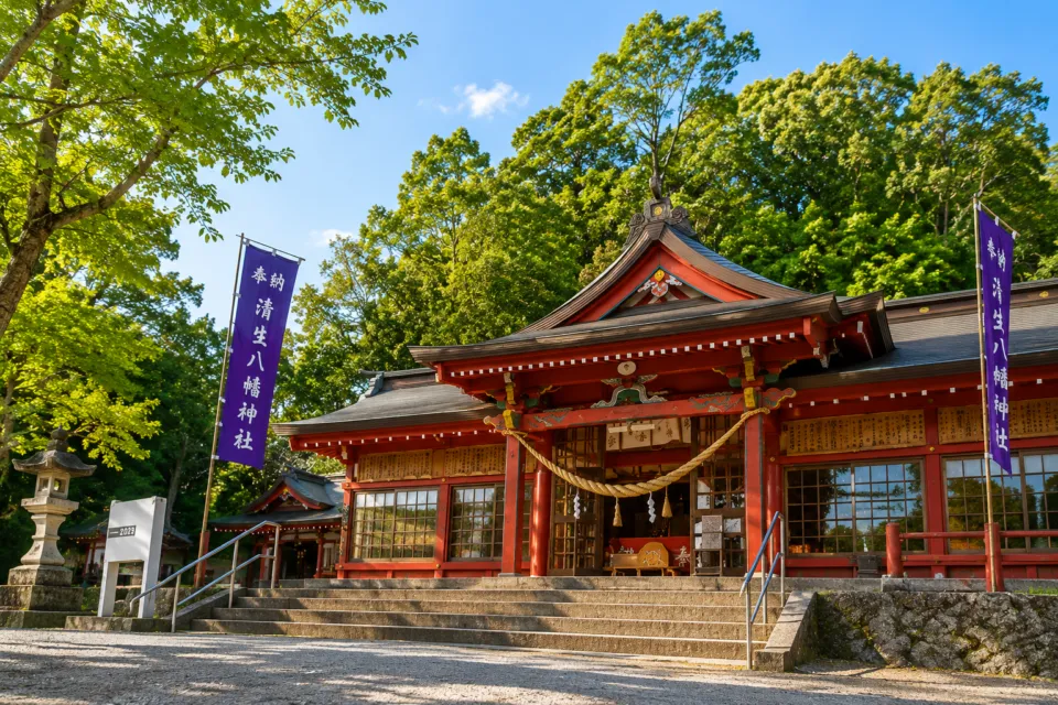 蒲生の大クス