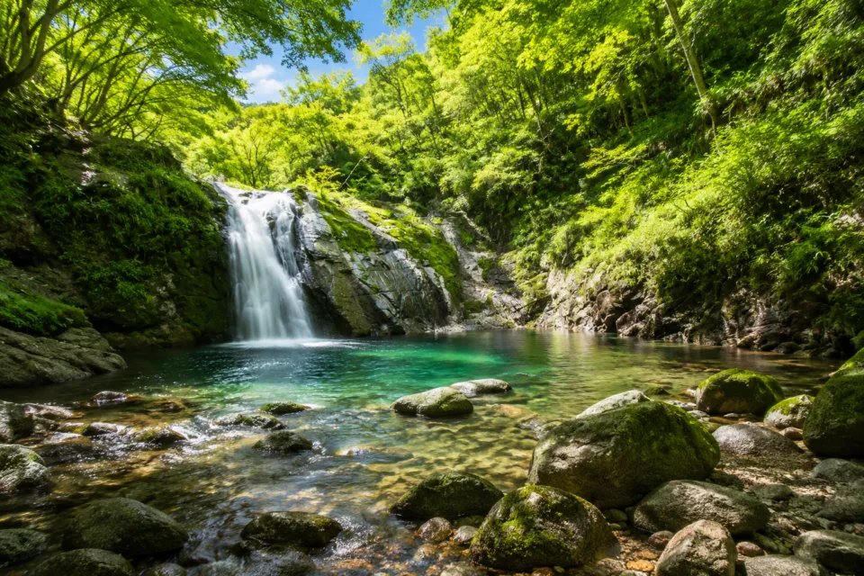 花貫渓谷