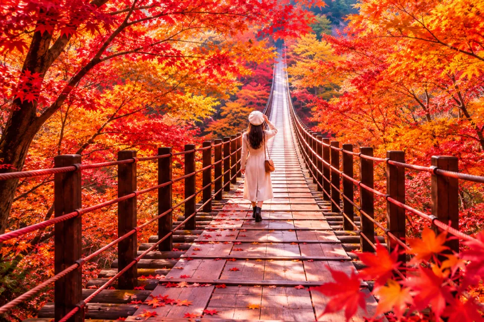 花貫渓谷