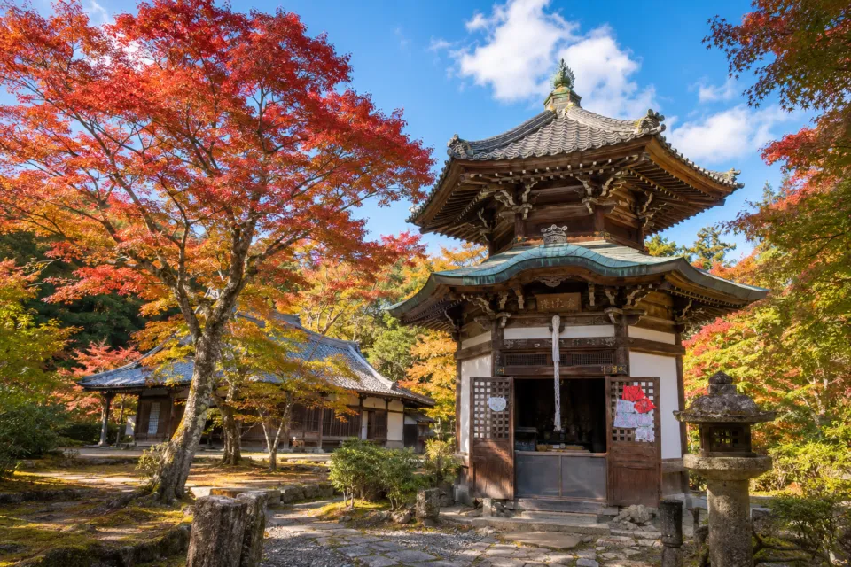 日吉大社