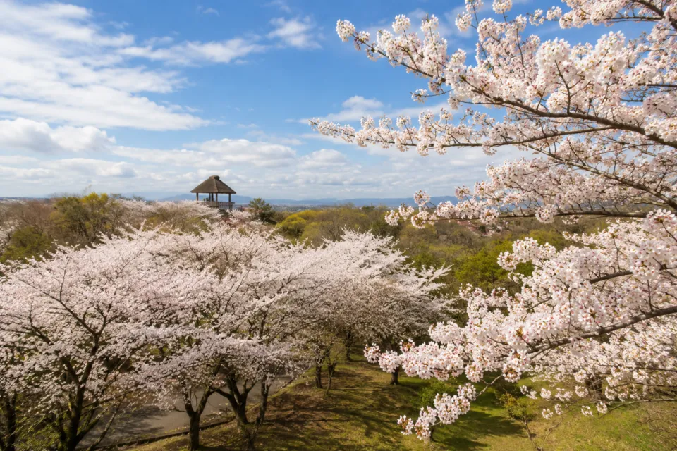 伯耆古代の丘公園