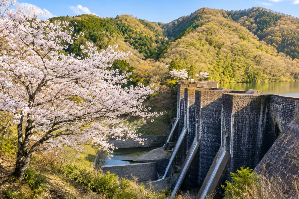 豊稔池堰堤