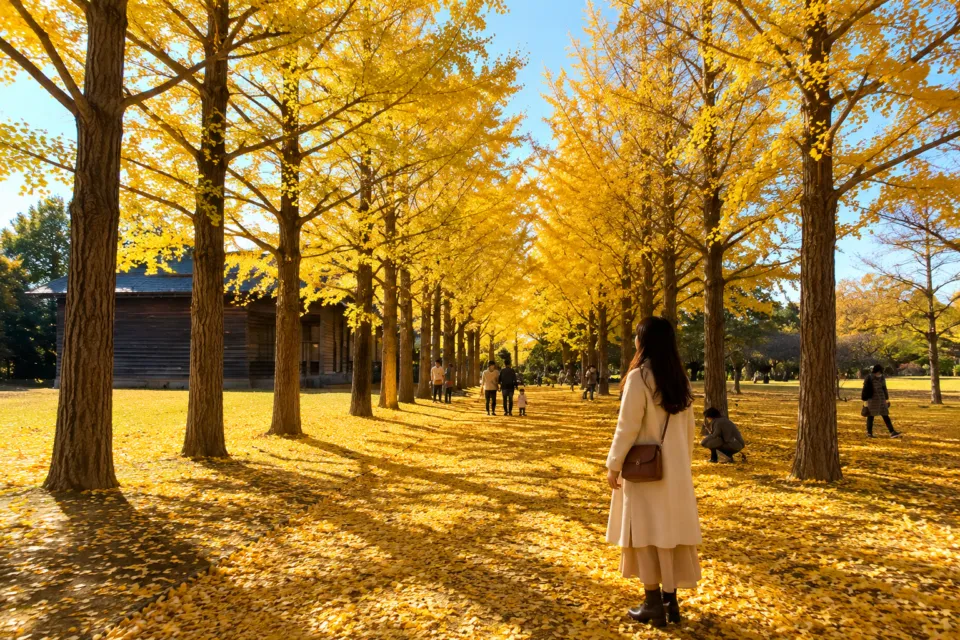 茨城県立歴史館