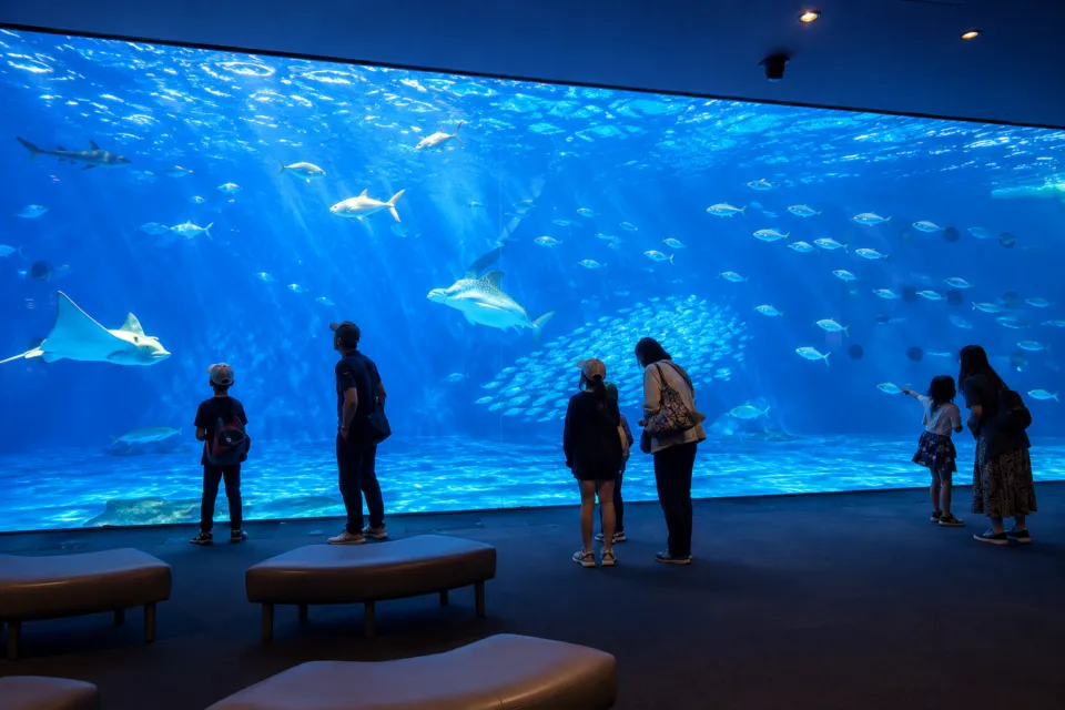 いおワールドかごしま水族館