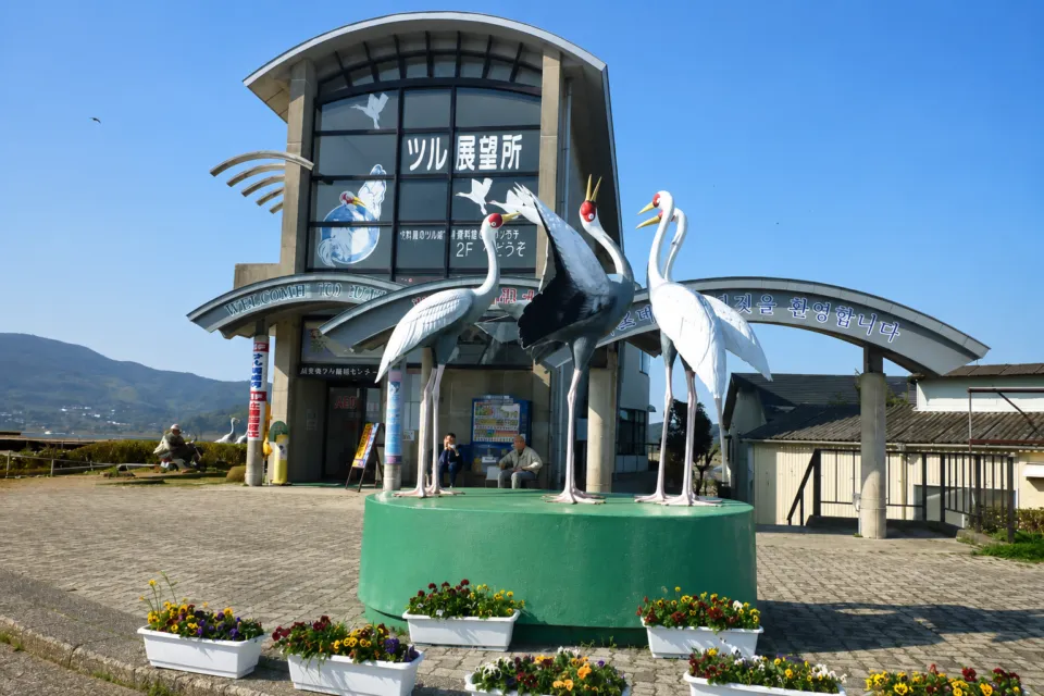 出水市ツル観察センター