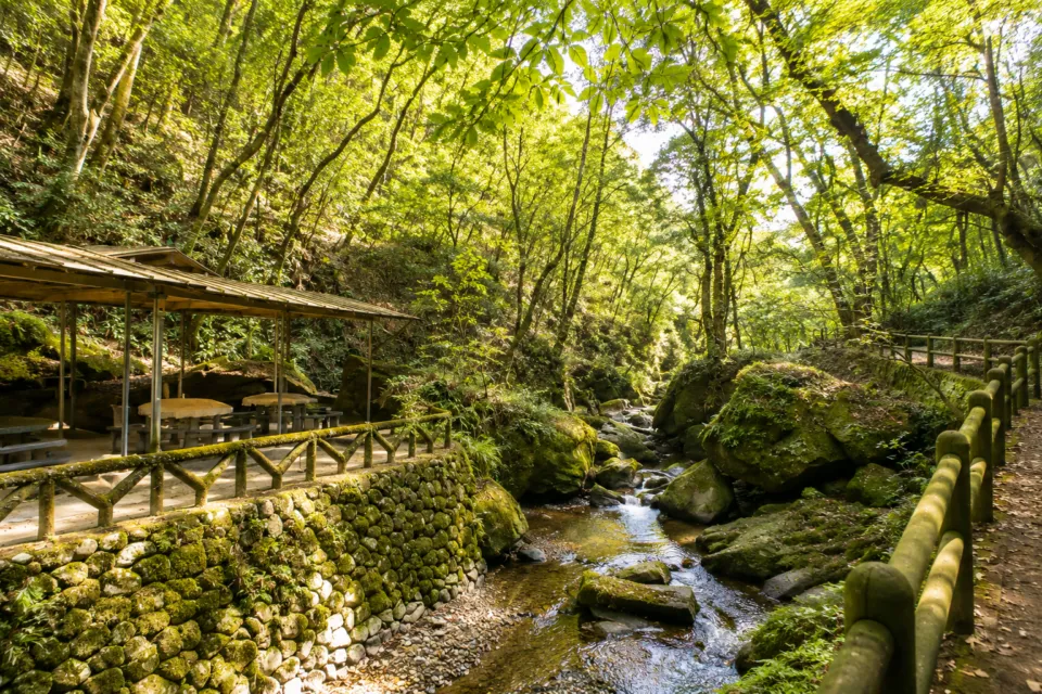 慈眼寺公園