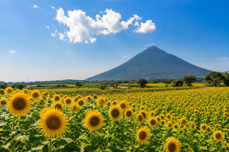 開聞岳
