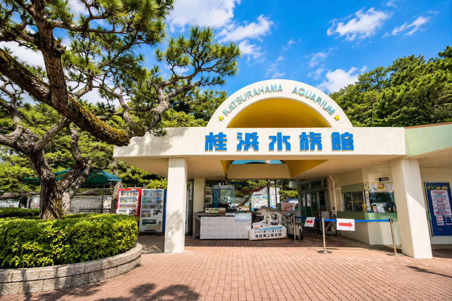 桂浜水族館