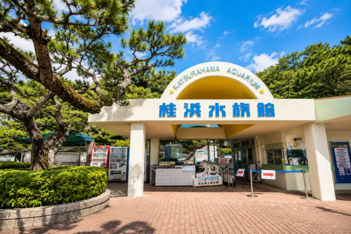 桂浜水族館