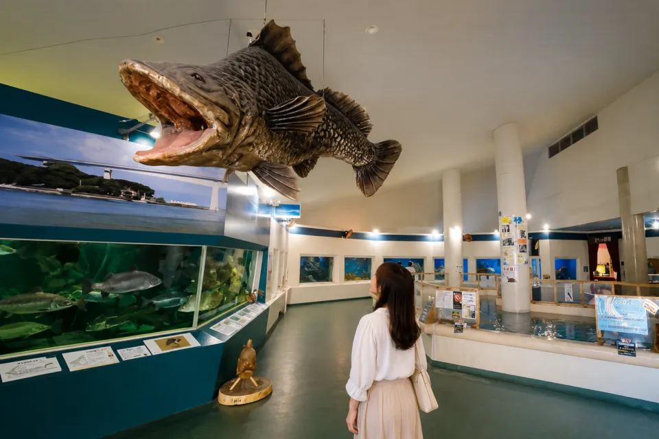 桂浜水族館