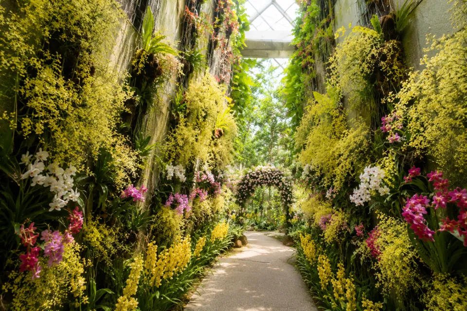 高知県立牧野植物園