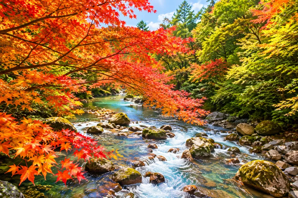 丸尾滝
