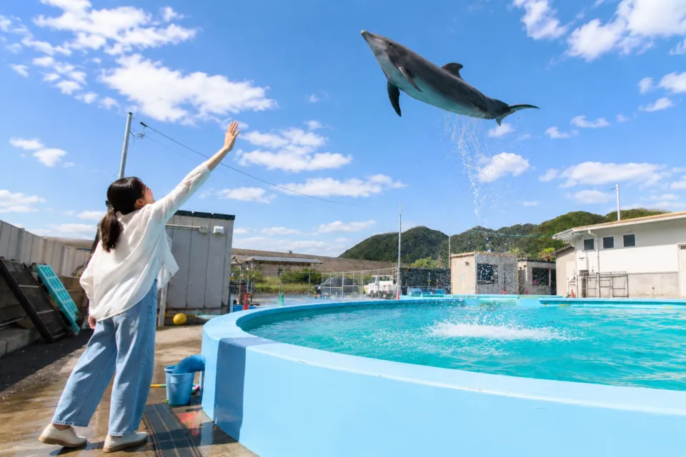 室戸ドルフィンセンター