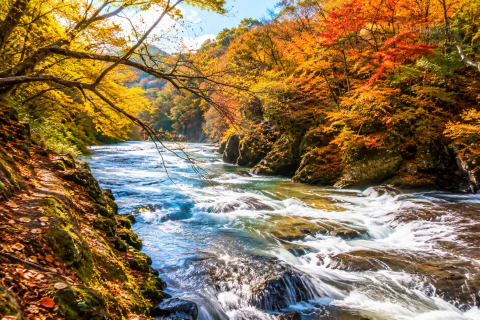 生瀬滝