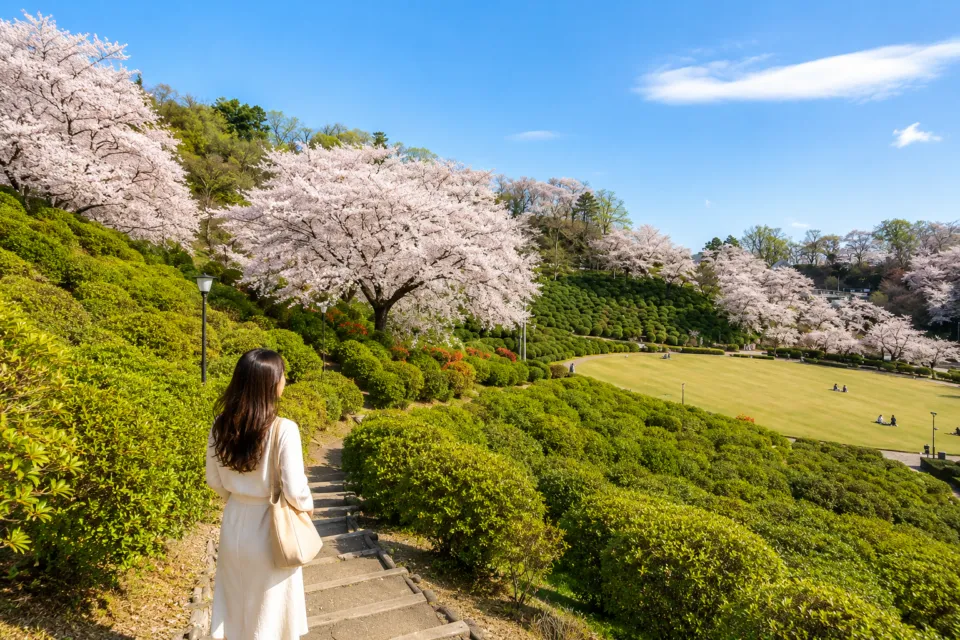 西山公園(福井県)