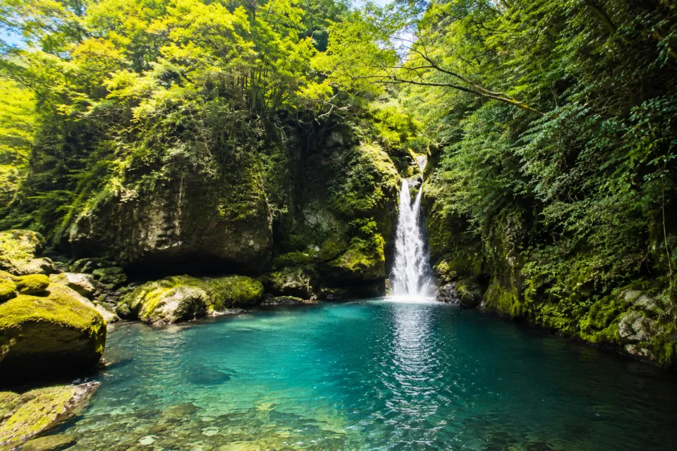 仁淀川