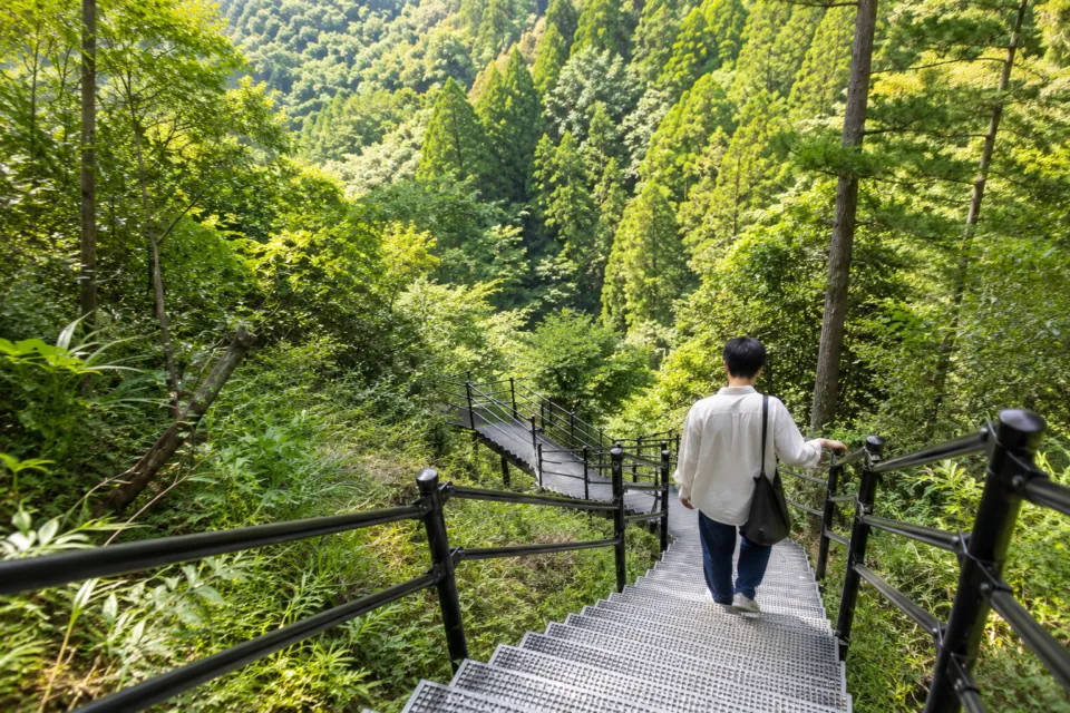 仁淀川