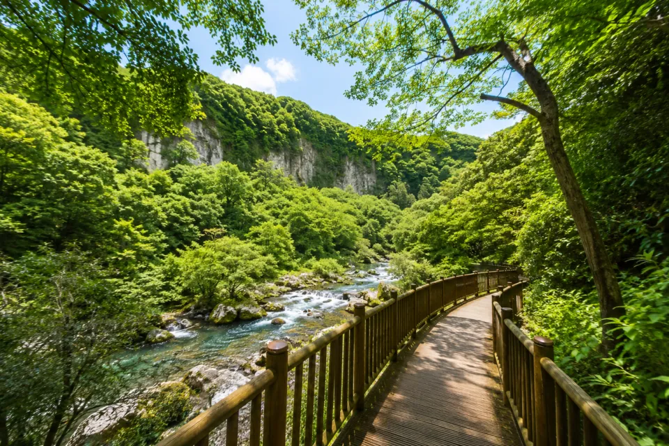 雄川滝