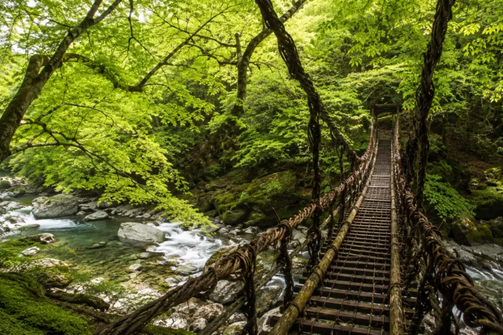 奥祖谷二重かずら橋