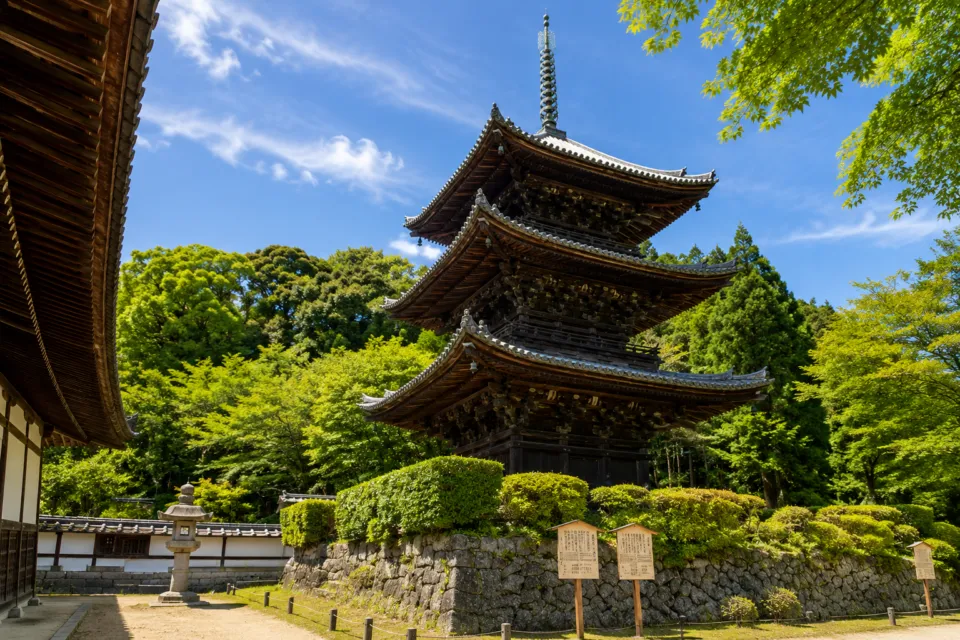 園城寺(三井寺)