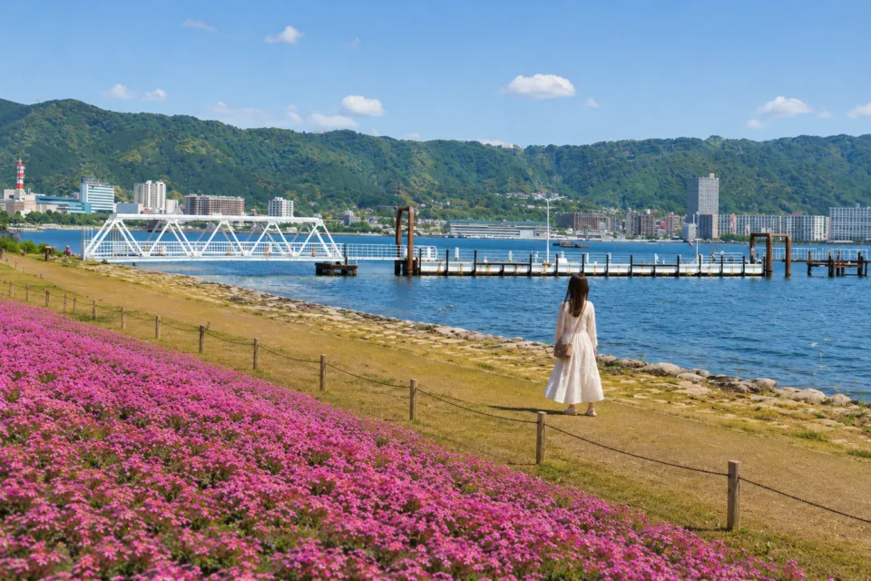大津湖岸なぎさ公園