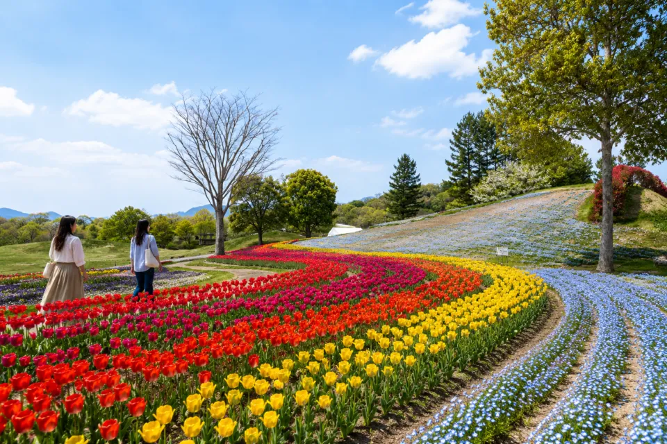 国営讃岐まんのう公園