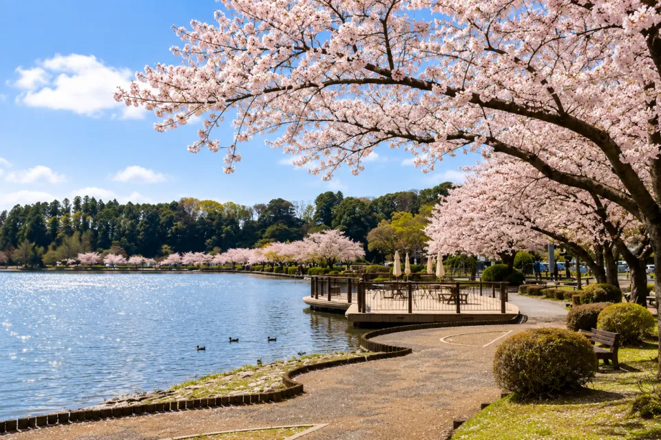 千波公園