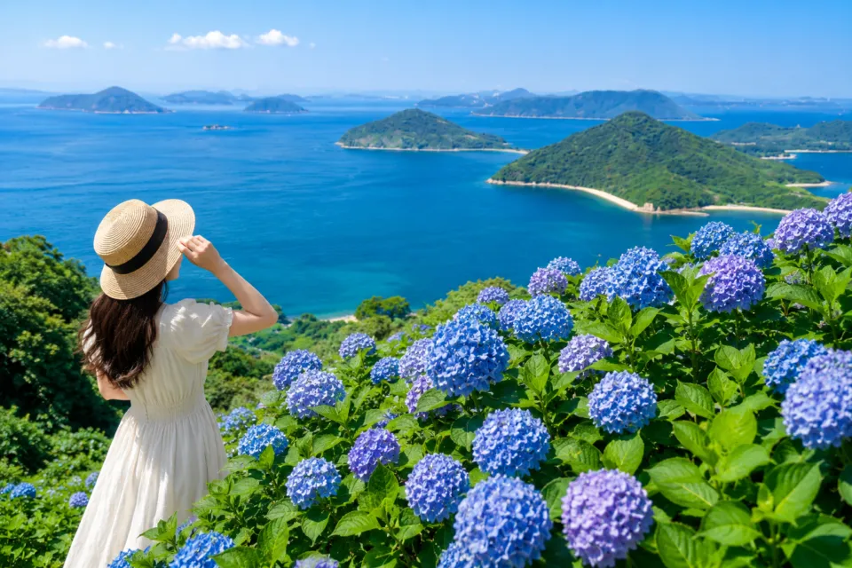 紫雲出山