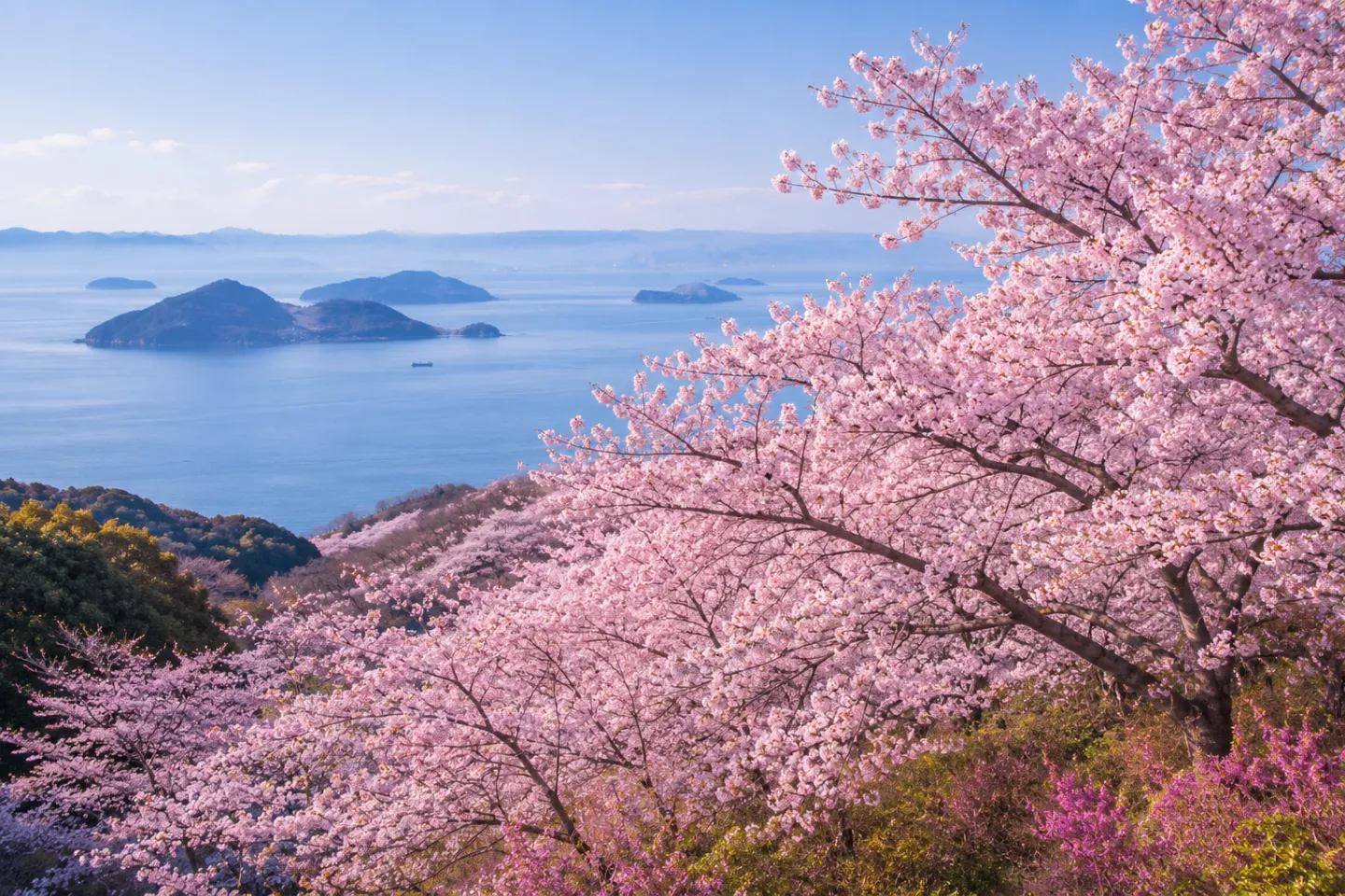 紫雲出山