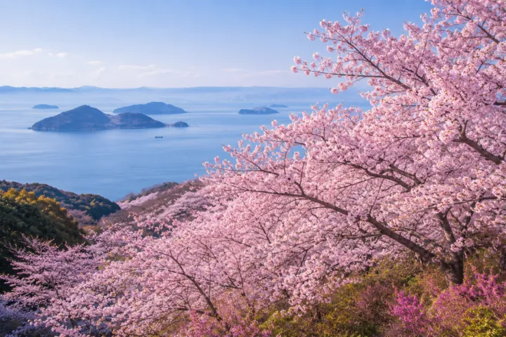 紫雲出山