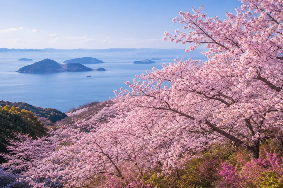 紫雲出山