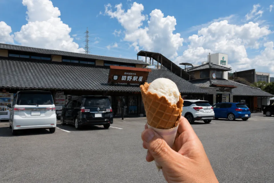道の駅 田野駅屋