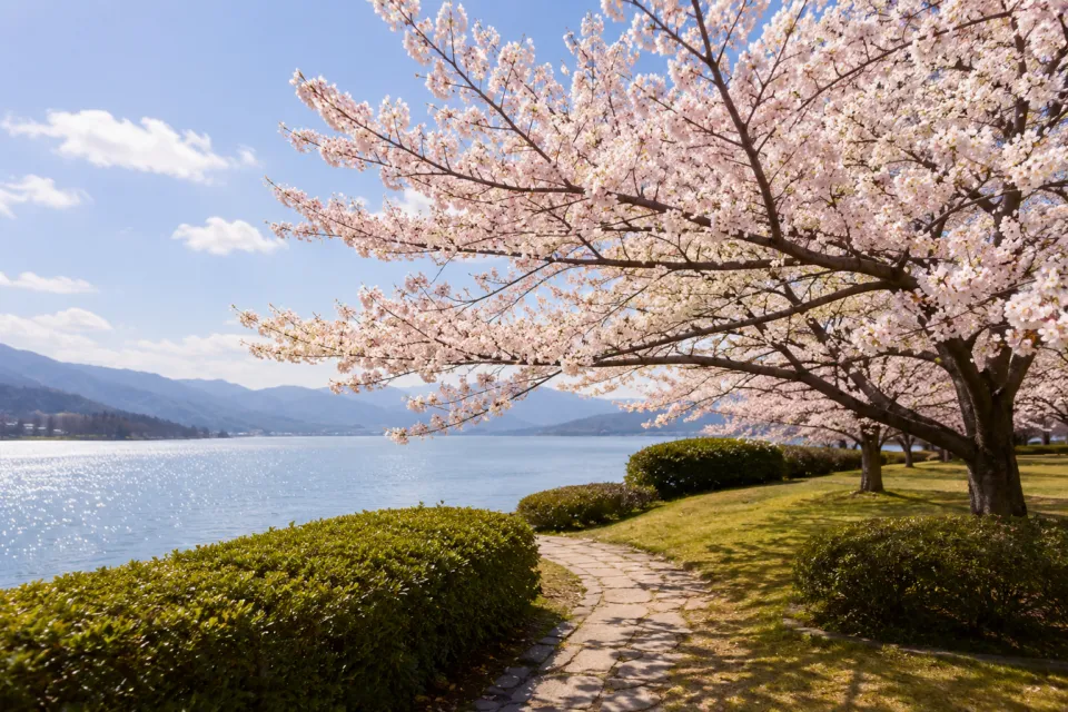 東郷池