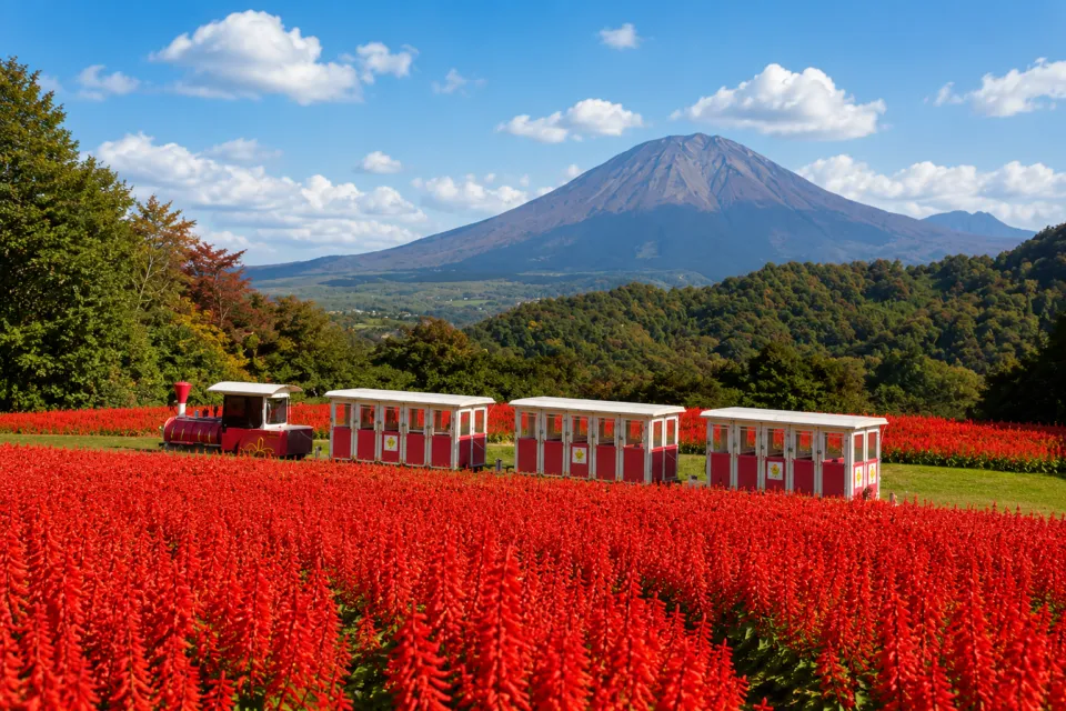 とっとり花回廊