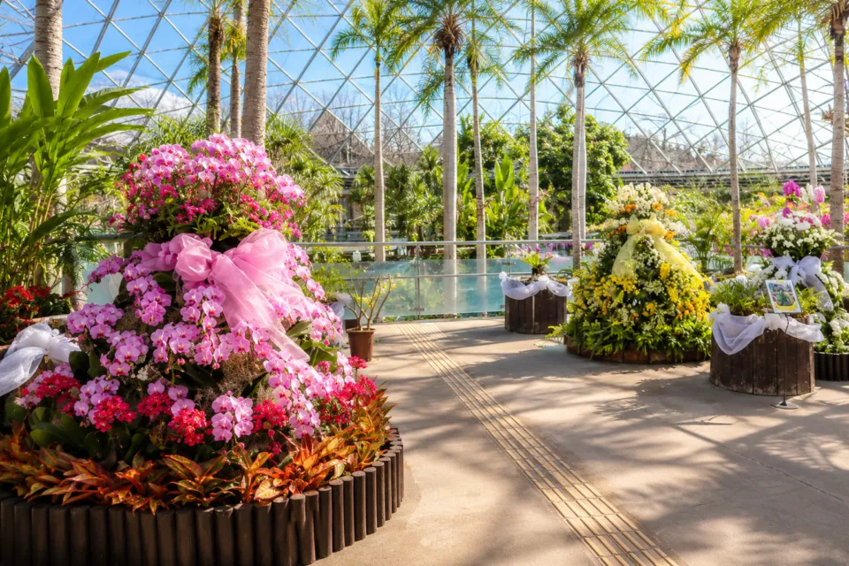とっとり花回廊