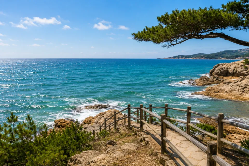 浦富海岸