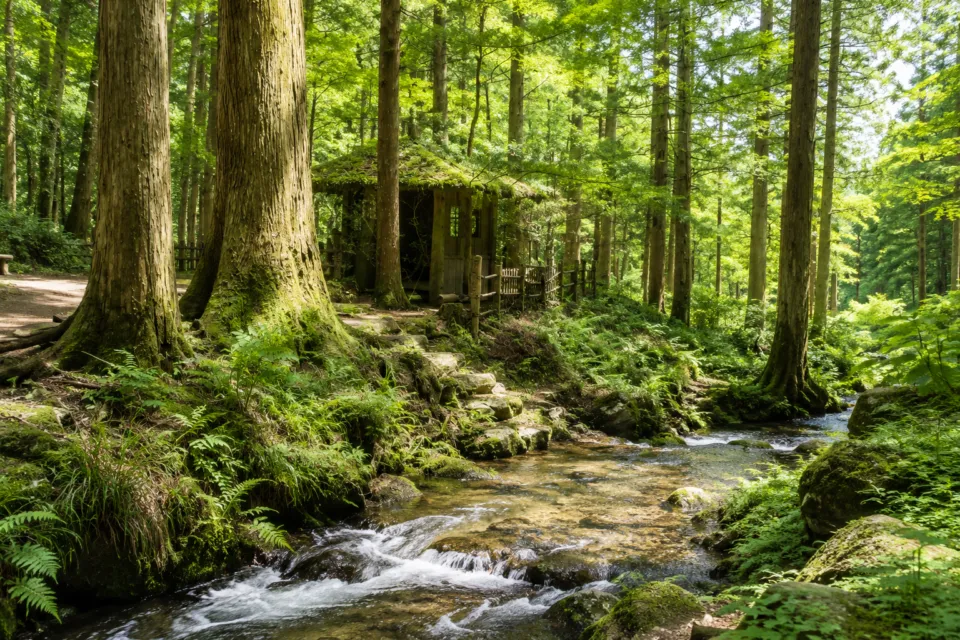 瓜割の滝