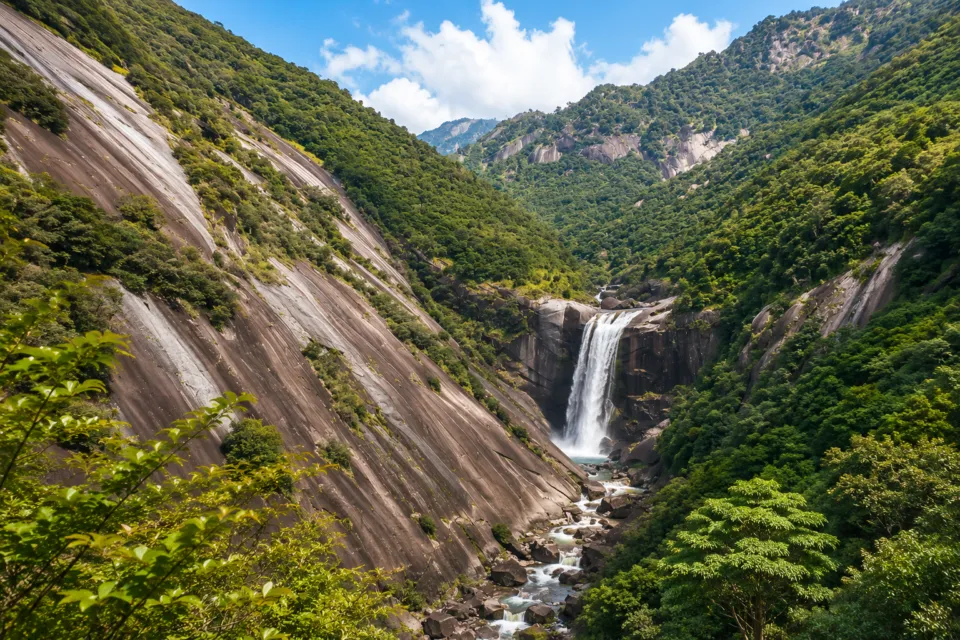 屋久島