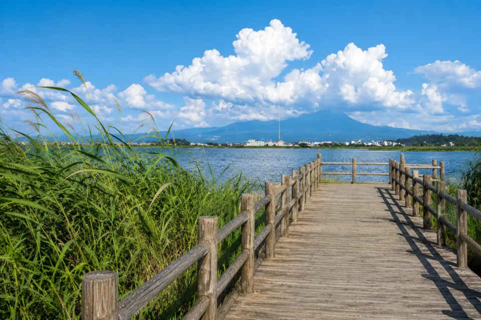 米子水鳥公園
