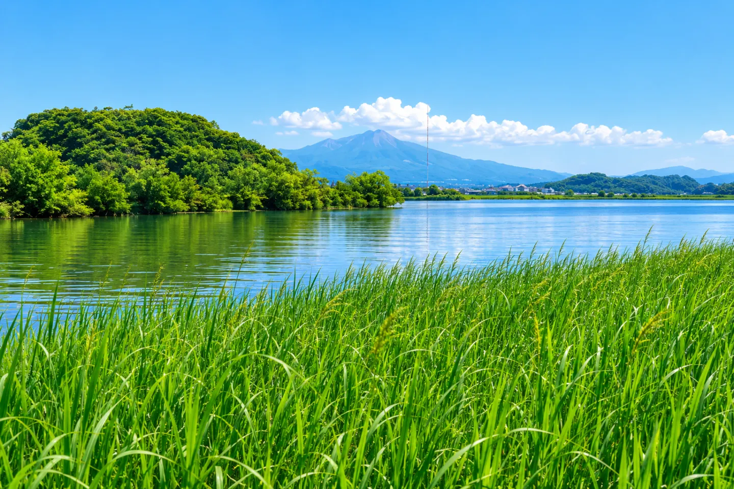 米子水鳥公園