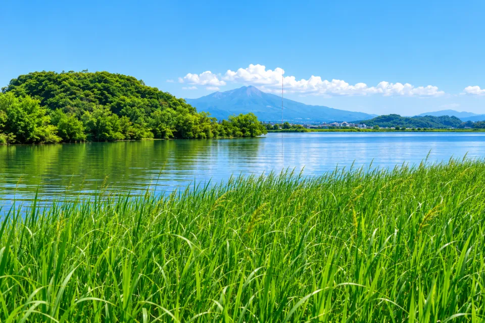 米子水鳥公園