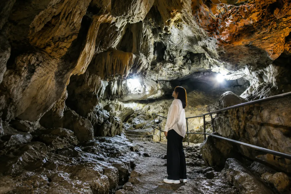 橋立鍾乳洞の見どころは？料金・アクセス・営業時間・駐車場を紹介｜旅姫